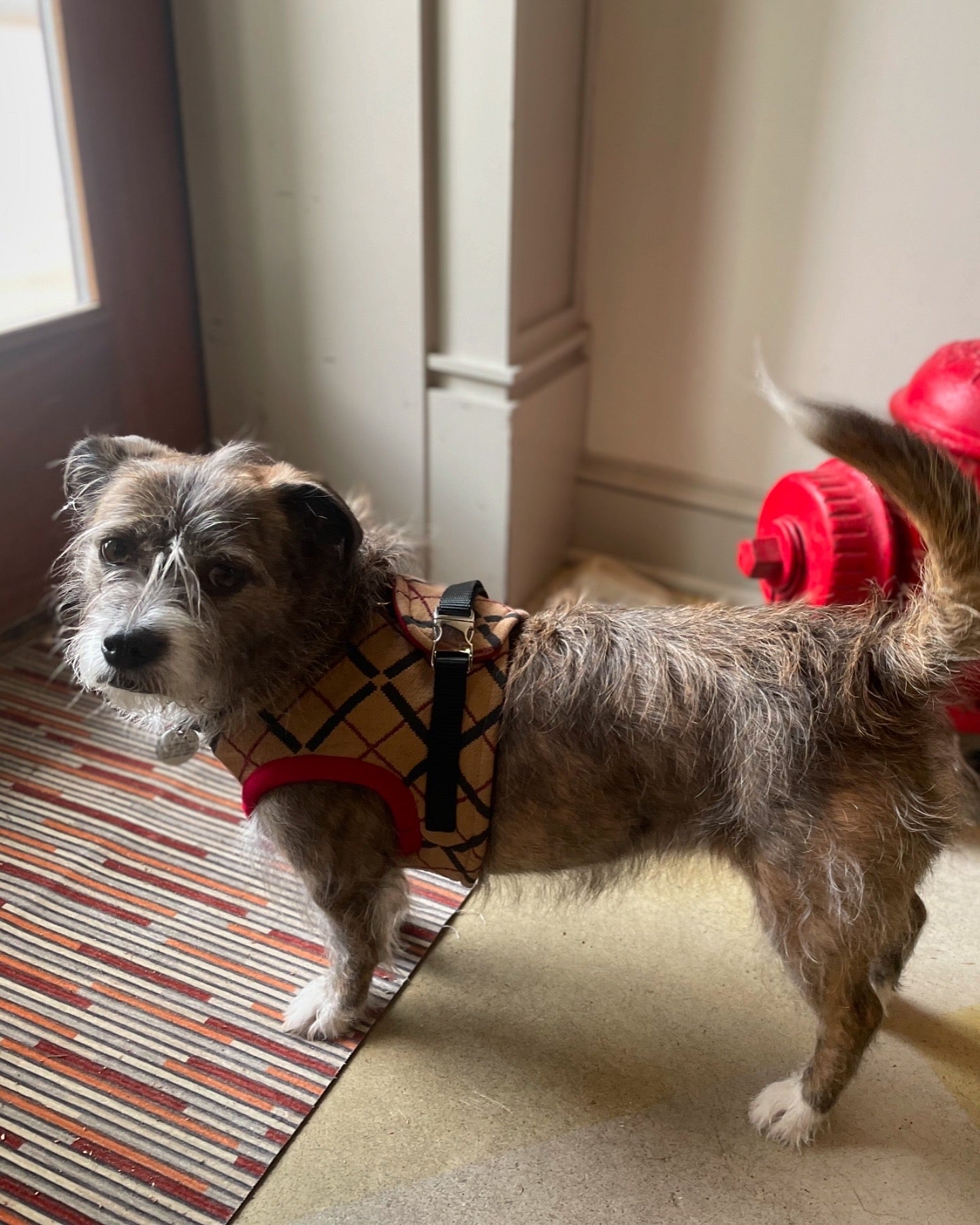 Suit Harness - Check