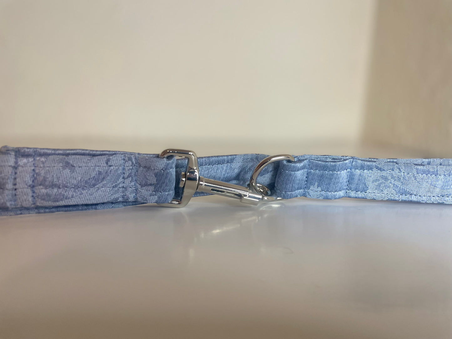 Dog Leash