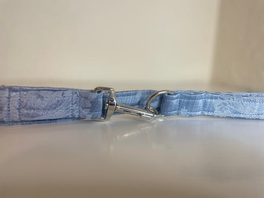 Dog Leash
